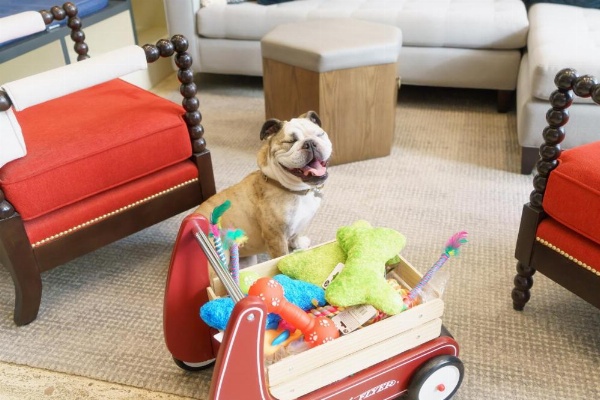 Hotel Spero image 15