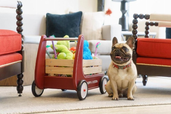 Hotel Spero image 16